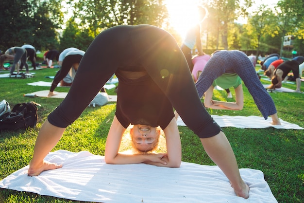 Um grupo de jovens faz yoga no parque ao pôr do sol.