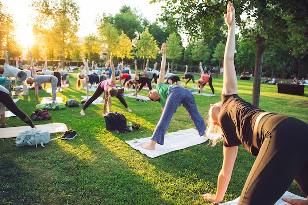 Um grupo de jovens faz yoga no parque ao pôr do sol.