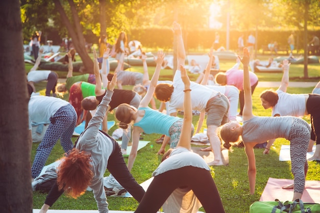 Um grupo de jovens faz yoga no parque ao pôr do sol.