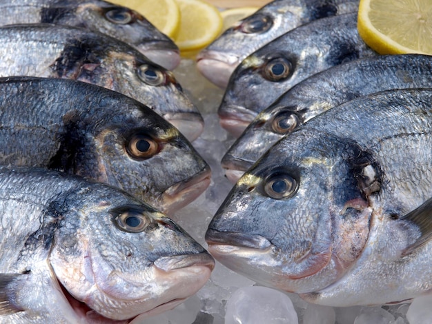 Um grupo de peixes com limões em cima deles