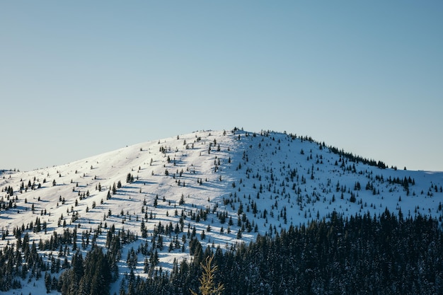 Um grupo de pessoas em cima de uma encosta coberta de neve