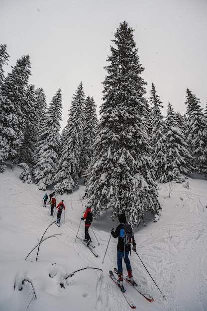 Foto um grupo de pessoas está esquiando na neve.