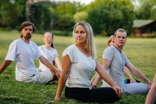 Um grupo de pessoas faz ioga no parque ao pôr do sol.