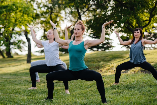 Um grupo de pessoas faz ioga no parque ao pôr do sol