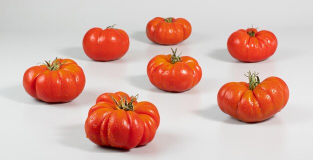 Um grupo de tomates grandes Costoluto em um fundo cinza