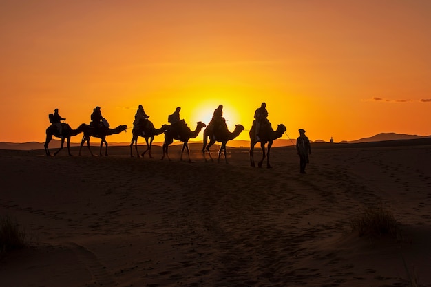 Um grupo de turistas liderados por um guia beduíno local cavalgando em camelos até o acampamento no deserto do Saara. Pôr do sol, hora de ouro
