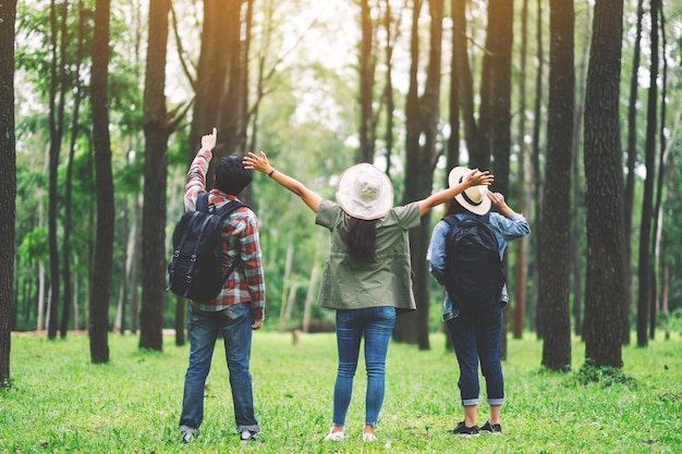 Um grupo de viajantes com mochila em pé e olhando para um belo pinhal