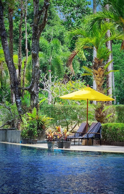 Um guarda-chuva amarelo está ao lado de uma piscina com árvores ao fundo.