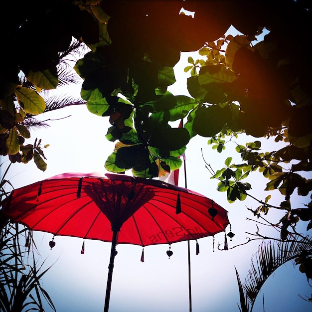 Foto um guarda-chuva asiático contra o céu