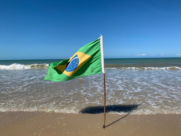 Foto um guarda-chuva na praia contra o céu limpo