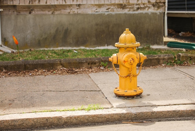 Um hidrante amarelo está em uma calçada ao lado de um meio-fio.