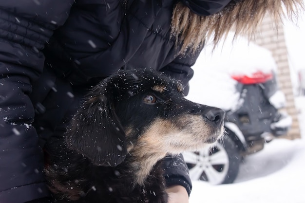 Um homem acaricia um cachorro entre a neve