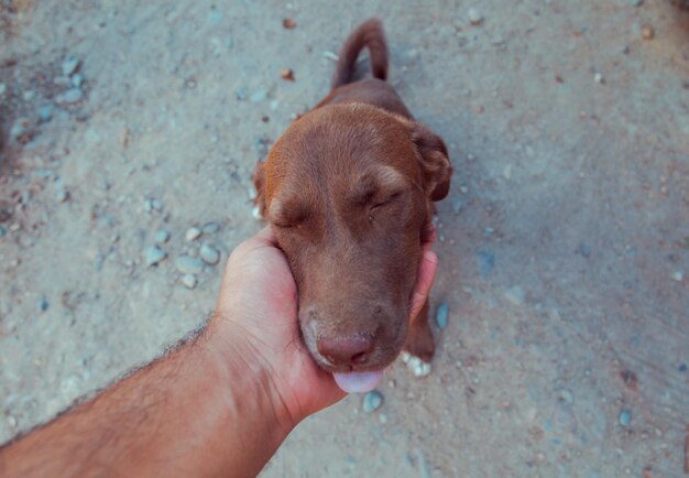 Um homem acariciando cachorro feliz