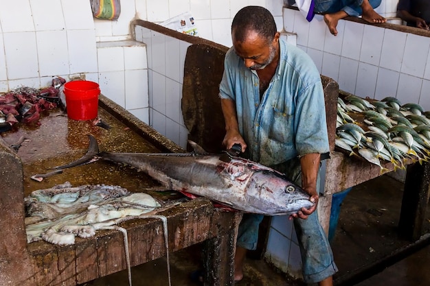 Um homem africano limpa um grande peixe em um mercado em Stone Town, Zanzibar. Tanzânia