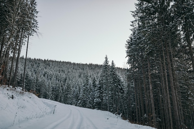 Foto um homem andando de esqui em uma encosta coberta de neve