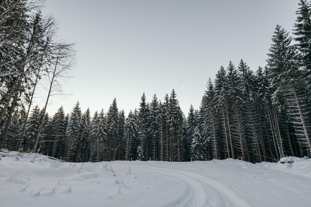 Foto um homem andando de snowboard por uma encosta coberta de neve