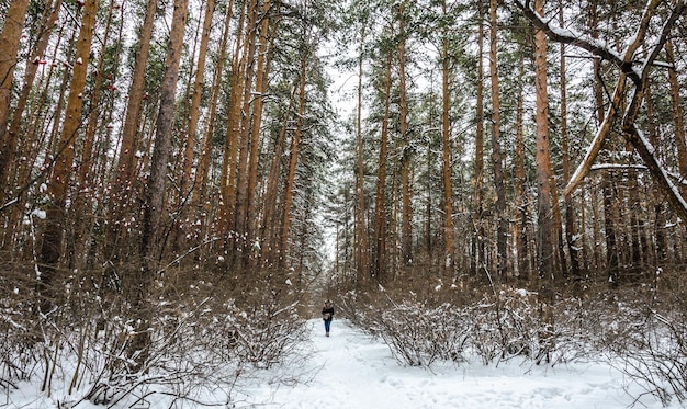 Um homem caminha por uma floresta de neve com árvores nas laterais.