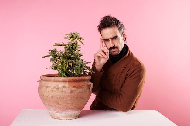 Um homem com bigode encara uma planta de cannabis em um fundo rosa