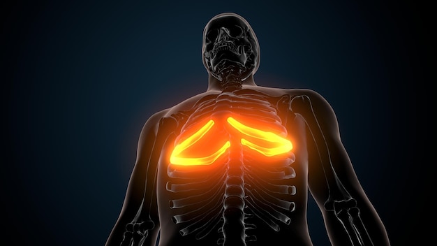 um homem com dor nas costas e a dor nas costas de um corpo humano