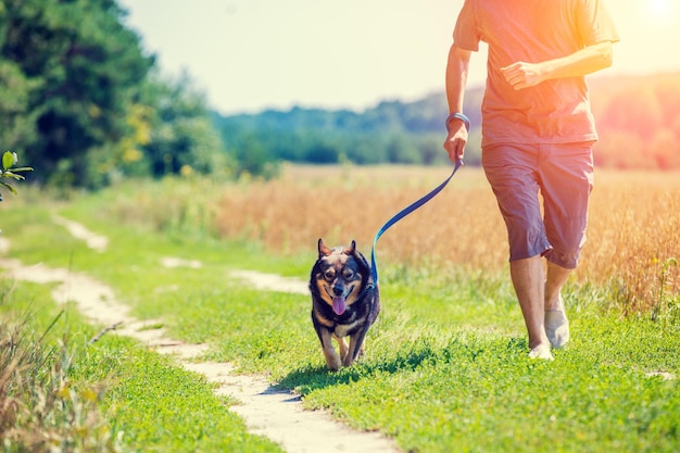 Um homem com um cachorro na coleira corre ao longo da estrada ao longo do campo de aveia no verão