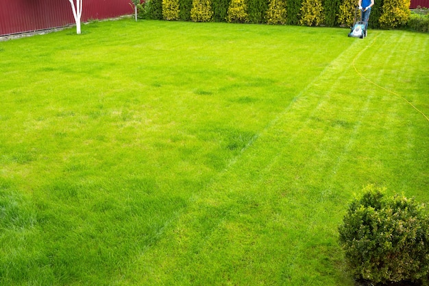 Um homem com um cortador de grama está cortando grama no jardim, o verão trabalha no jardim