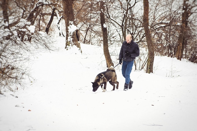 Um homem com uma jaqueta e um chapéu de tricô caminha por uma floresta nevada com um cachorro akita americano