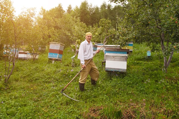 Um homem corta a grama. vida na aldeia: colheita de feno para o inverno. alimentação animal. trança close-up