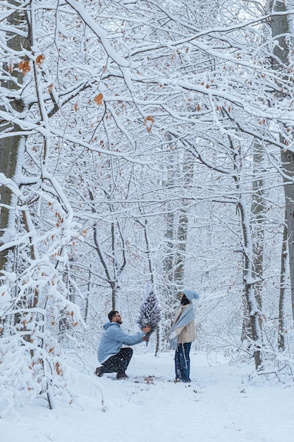 Um homem dá uma árvore de Natal a uma mulher como um buquê de pé sobre um joelho