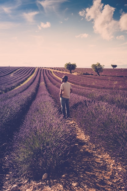 Um homem de pé olha para o campo de lavanda ao seu redor - humano e bela paisagem de viagens ao ar livre - frança provence localização valensole - negócio de produção de fragrâncias e perfumes