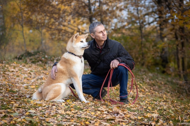 Um homem e seu cachorro Akita Inu na floresta de outono