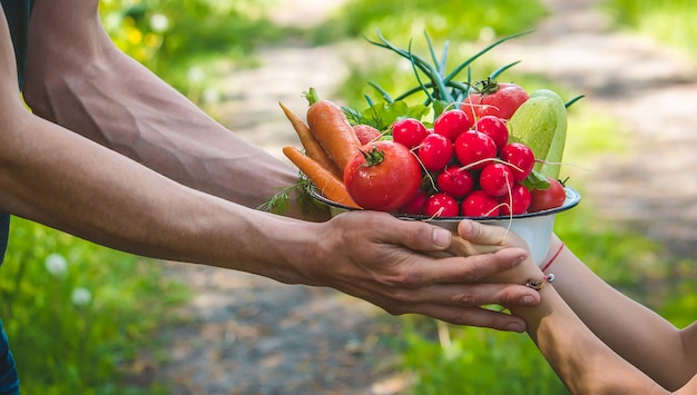 Um homem e seu filho no jardim com vegetais nas mãos