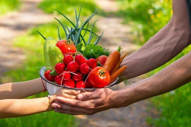 Um homem e seu filho no jardim com vegetais nas mãos