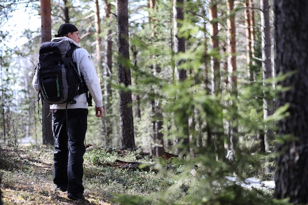 Um homem é um turista em uma floresta de pinheiros com uma mochila. Uma caminhada pela floresta. Reserva de pinheiros para passeios turísticos. Um jovem em uma caminhada na primavera.