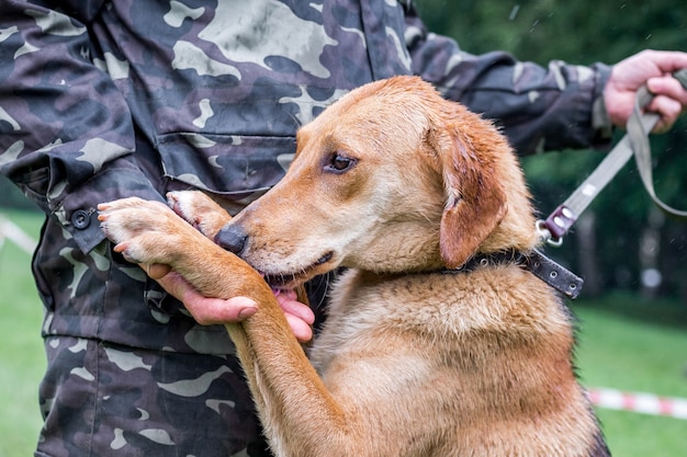 Um homem em um uniforme de camuflagem com um cachorro. Um homem segura a pata de um cachorro