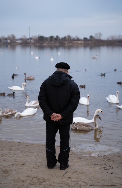 Um homem fica perto de um lago e alimenta cisnes e patos