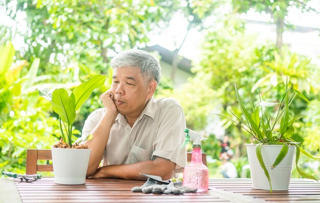 Um homem idoso asiático feliz e sorridente está plantando um hobby em uma casa após a aposentadoria. Conceito de um estilo de vida feliz e de boa saúde para os idosos.