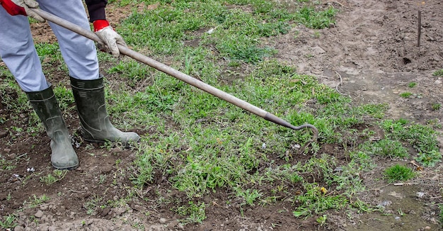 Um homem limpa ervas daninhas no jardim Limpeza de primavera no foco seletivo da fazenda