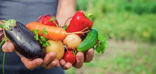 Um homem no jardim com legumes nas mãos.