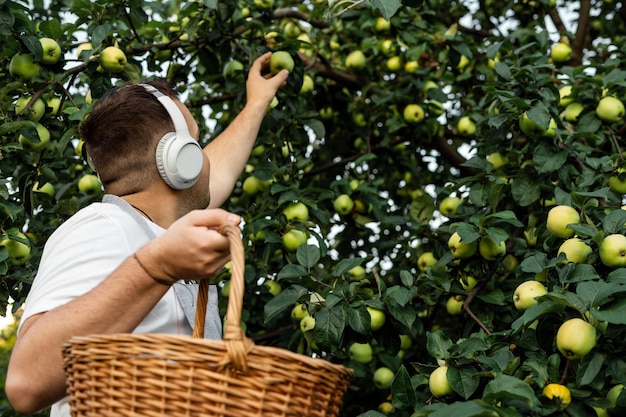 Um homem ouve música com fones de ouvido um agricultor trabalha no jardim
