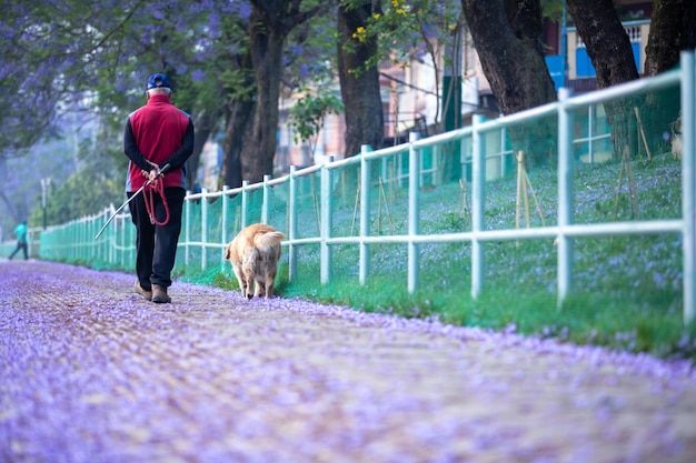 Um homem passeando com um cachorro na calçada