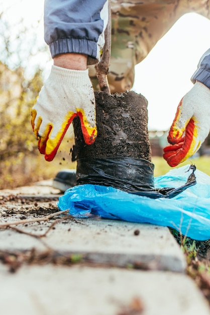 Um homem planta uma árvore frutífera jovem O agricultor desembala uma nova muda e a planta O conceito de proteção ambiental e ecologia