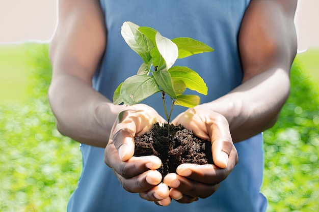 Um homem segura uma pequena planta em suas mãos.