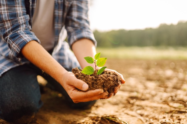 Um homem segura uma planta verde em suas mãos Cultivando alimentos conceito de agricultura