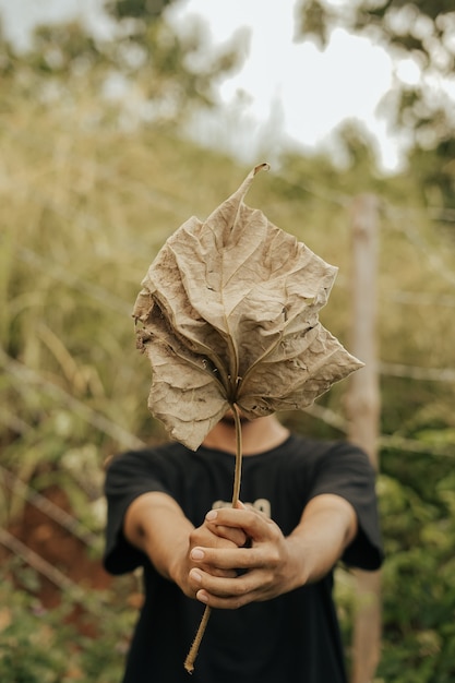 Foto um homem segurando uma grande folha cobrindo seu rosto