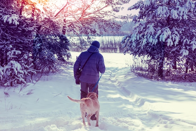 Um humano e um cachorro são melhores amigos. Homem andando com o cachorro em um bosque nevado em um dia ensolarado.