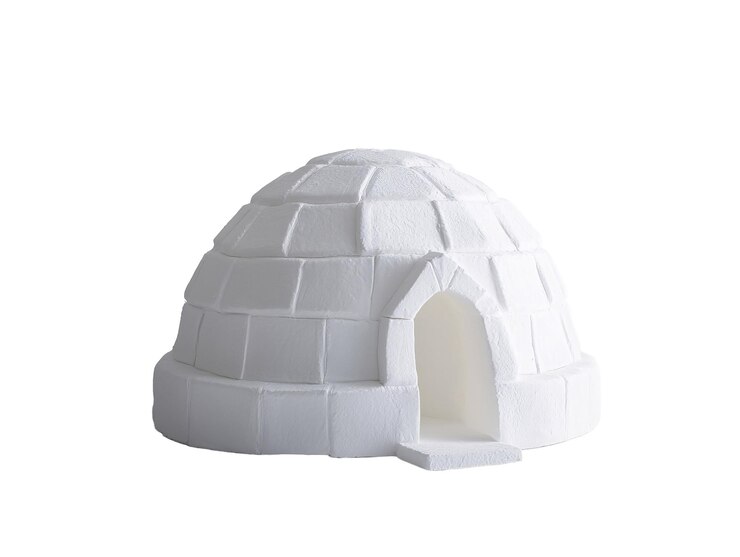 Foto um iglu branco com uma porta
