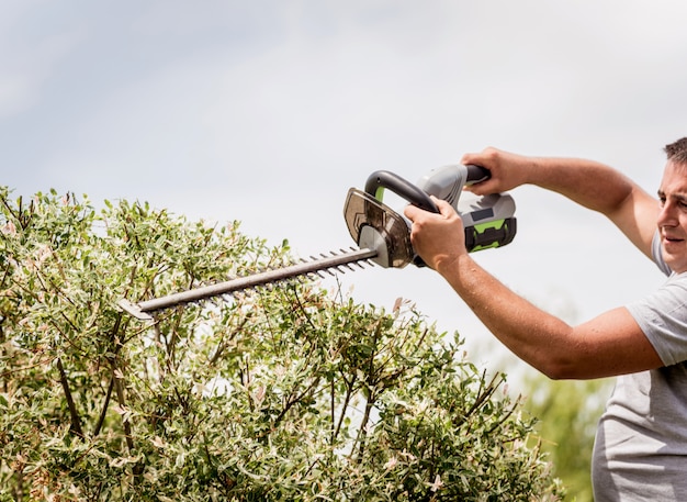 Um jardineiro aparar árvores com aparador de cerca viva