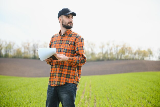 Foto um jovem agricultor inspeciona a qualidade dos brotos de trigo no campo o conceito de agricultura