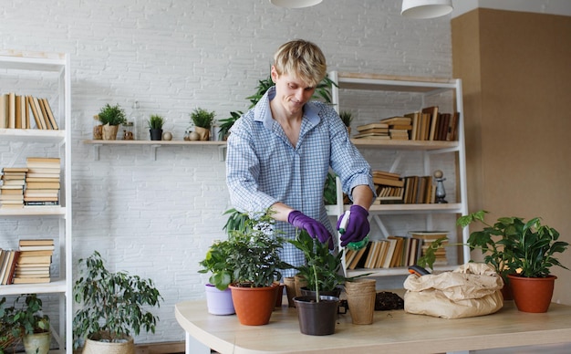 Um jovem atraente cuidando de plantas domésticas transplanta flores derrama terra em vasos de flores O conceito de jardinagem em casa