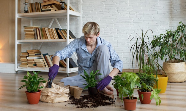 Um jovem atraente cuidando de plantas domésticas transplanta flores derrama terra em vasos de flores